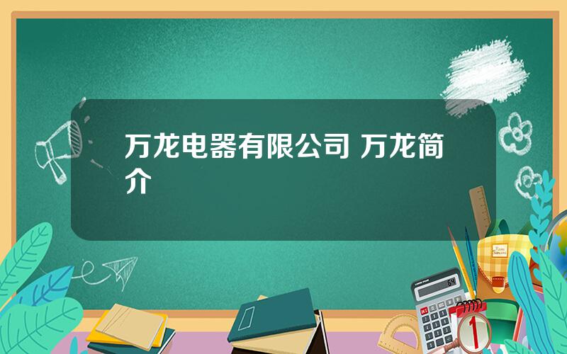 万龙电器有限公司 万龙简介